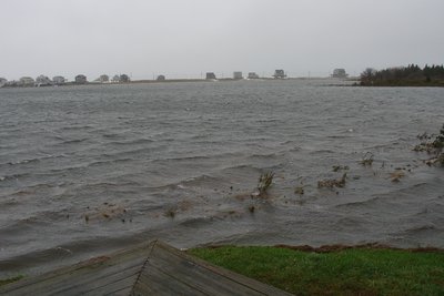 pegotty beach at 11-38 for Sandy.JPG and 